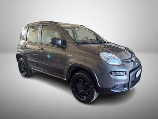Fiat Panda 4x4, 900 cc benzina